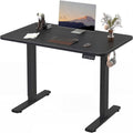 Furmax 55 x 24 Inches Electric Height Adjustable Standing Desk Large Sit Stand Up Desk Home Office Computer Desk Memory Preset with T-Shaped Metal Bracket, Black
