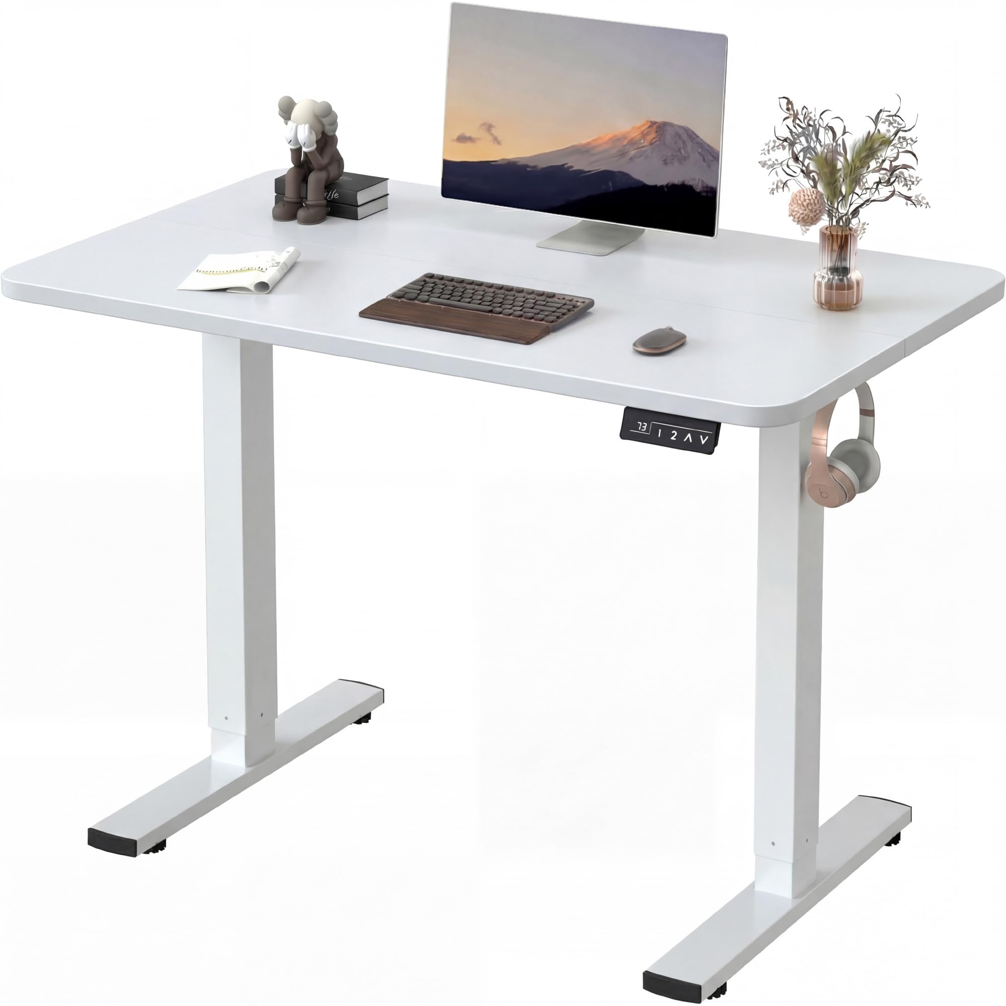 Furmax 55 x 24 Inches Electric Height Adjustable Standing Desk Large Sit Stand Up Desk Home Office Computer Desk Memory Preset with T-Shaped Metal Bracket, Black