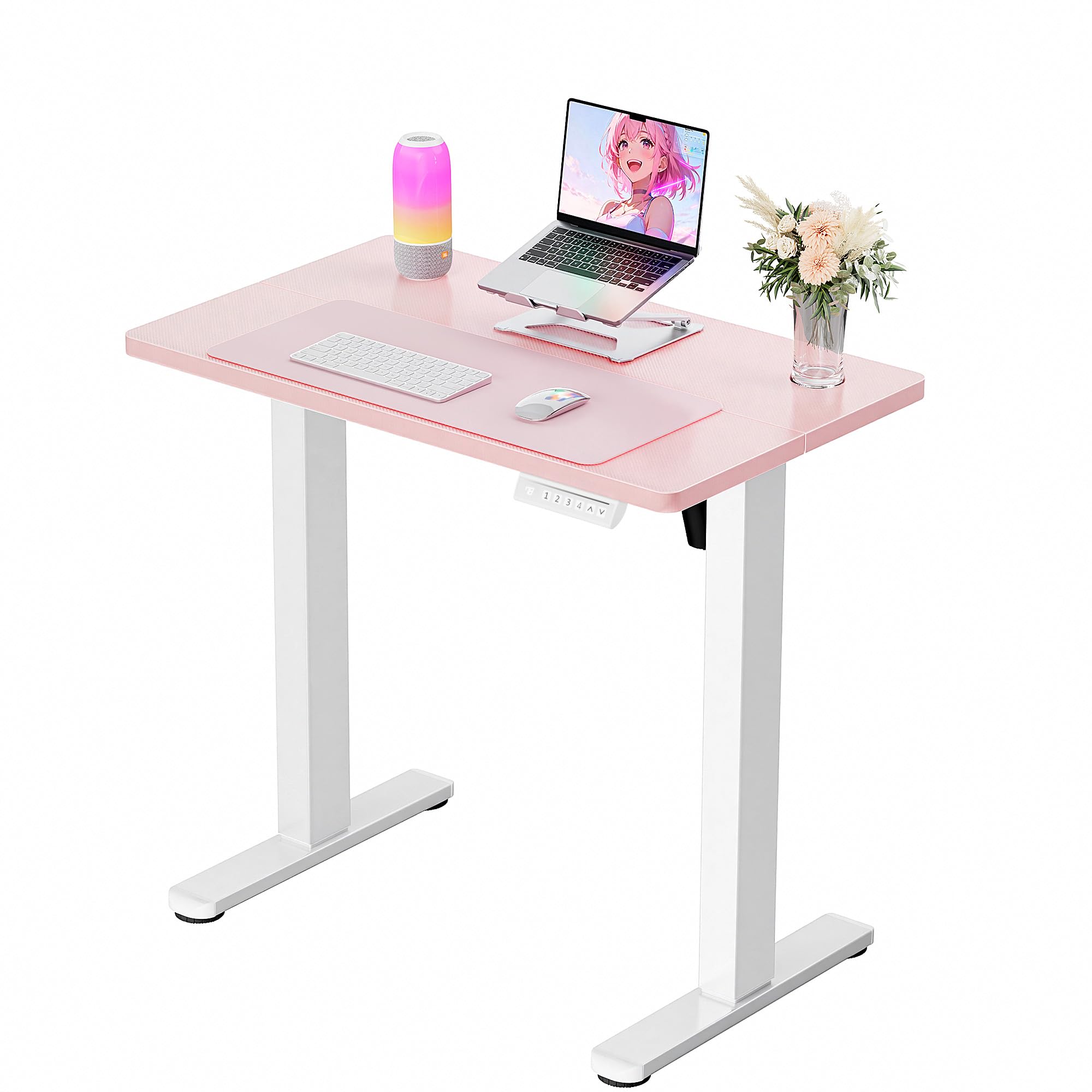 ErGear Height Adjustable Electric Standing Desk, 48 x 24 Inches Sit Stand up Desk, Memory Computer Home Office Desk, Black