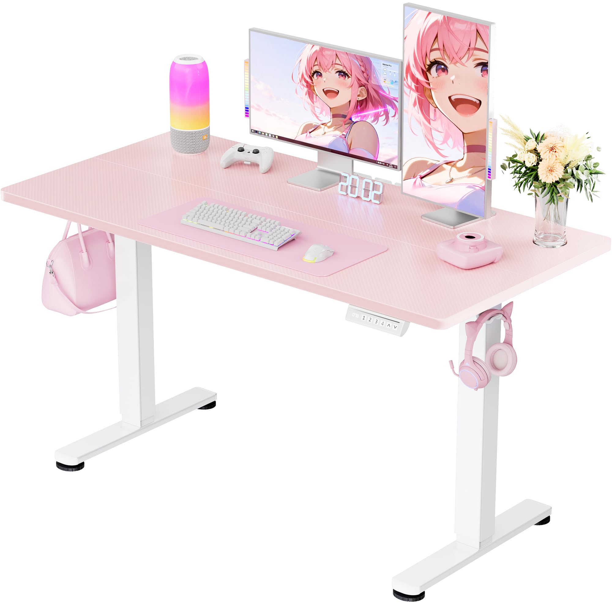 ErGear Height Adjustable Electric Standing Desk, 48 x 24 Inches Sit Stand up Desk, Memory Computer Home Office Desk, Black